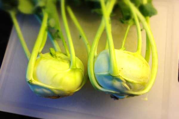 Kohlrabi