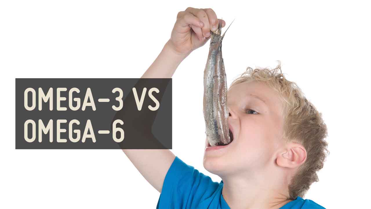 Omega-3 vs Omega-6: überlebenswichtige Fettsäuren