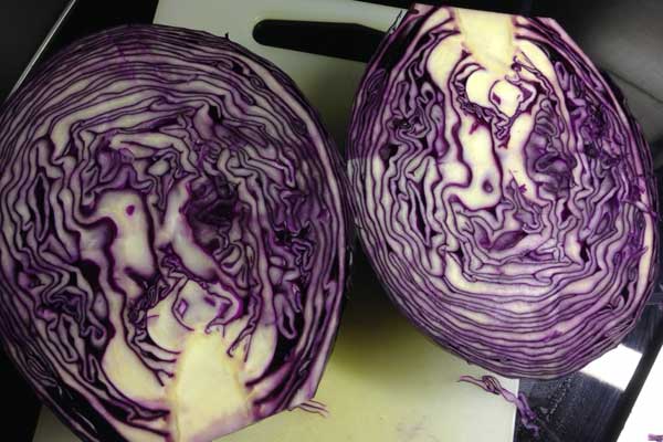 Rotkohl: Günstig und ergiebig