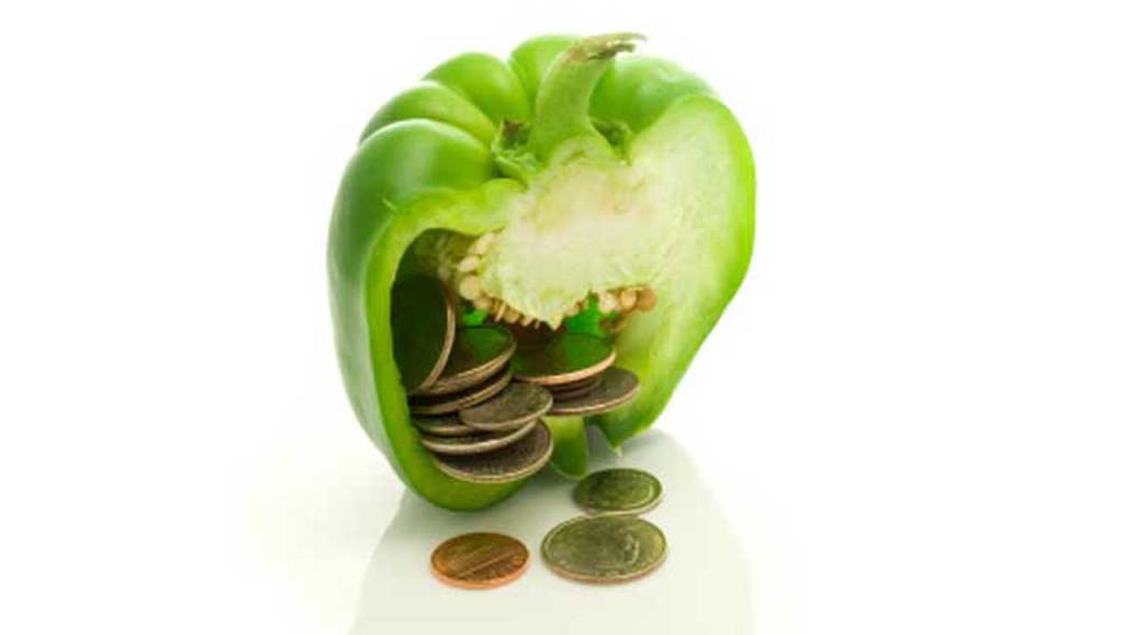 Paleo Geld Budget Sparen