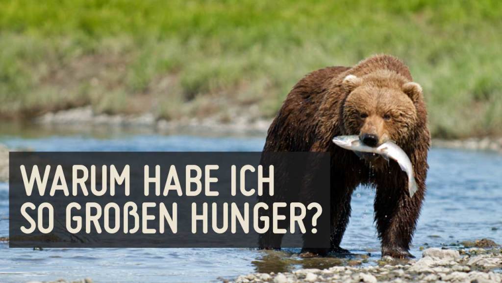 Warum habe ich so grossen Hunger