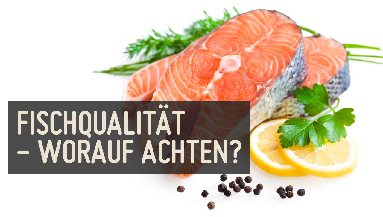 Fischqualität – worauf soll ich achten?