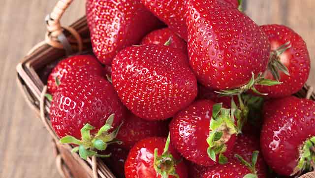 Rezepte Magazin Erdbeeren