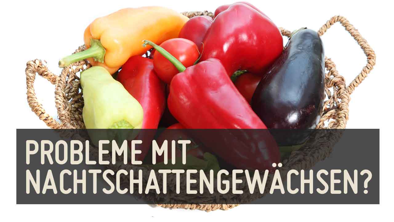 Nachtschattengewächse