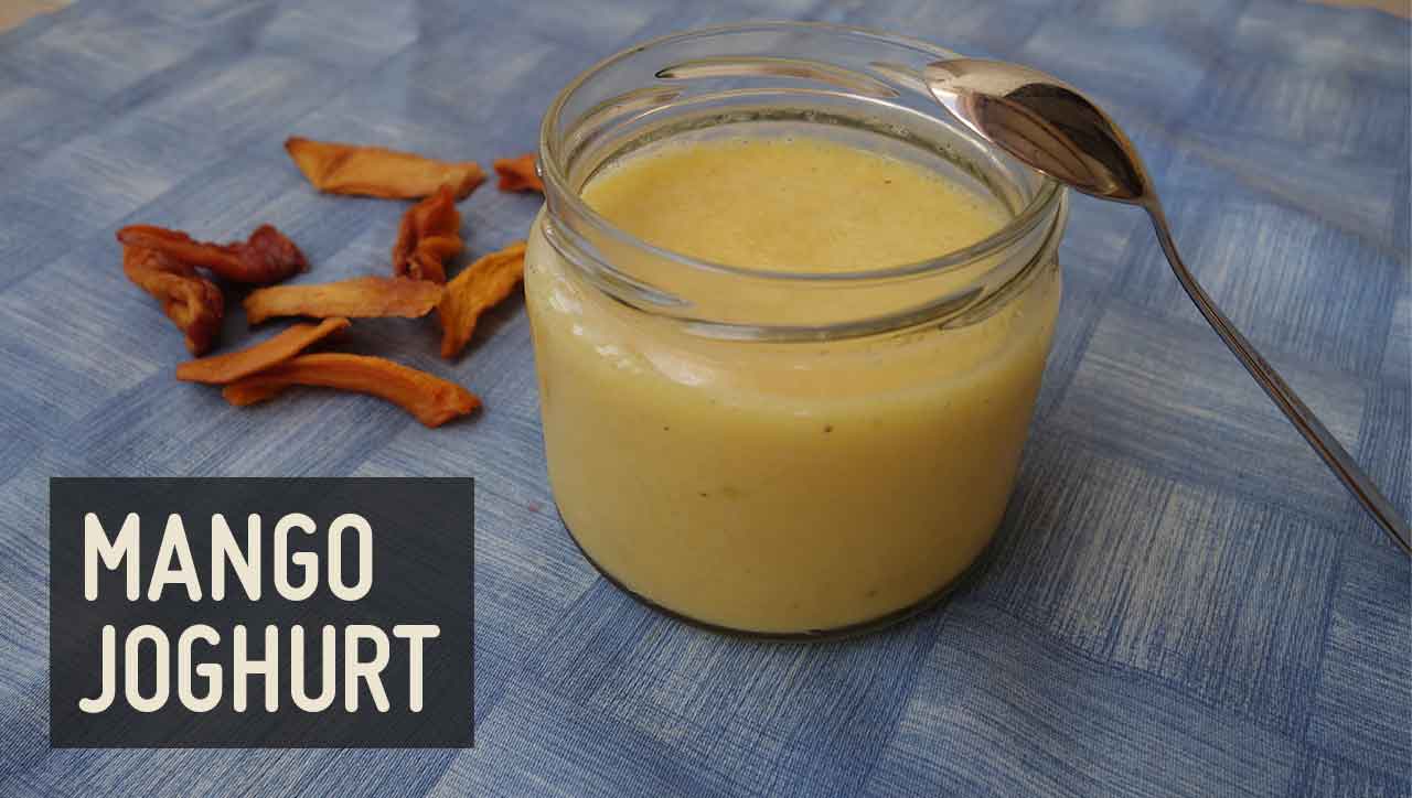 Mango Joghurt – Paleo360.de