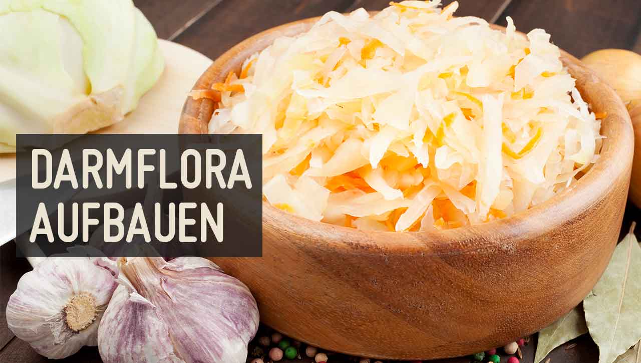 Darmflora aufbauen – Tipps für ein gesundes Mikrobiom