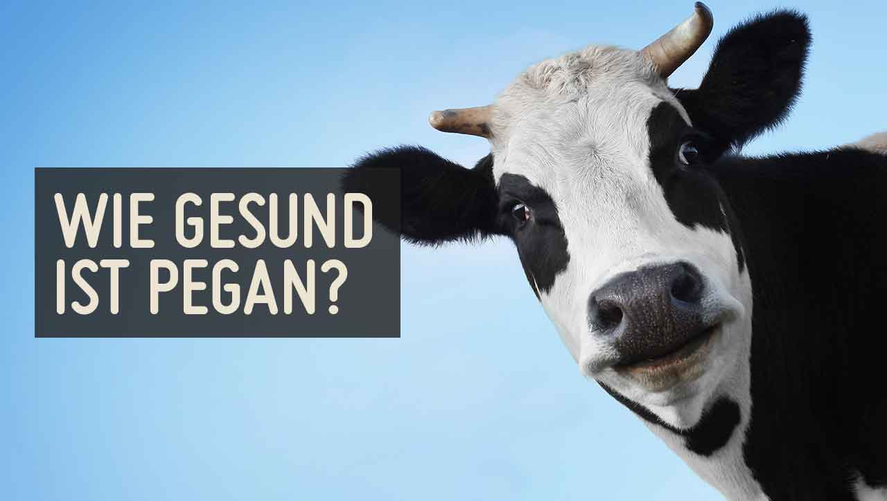 Vegan? Paleo? Pegan? Was ist am Gesündesten?