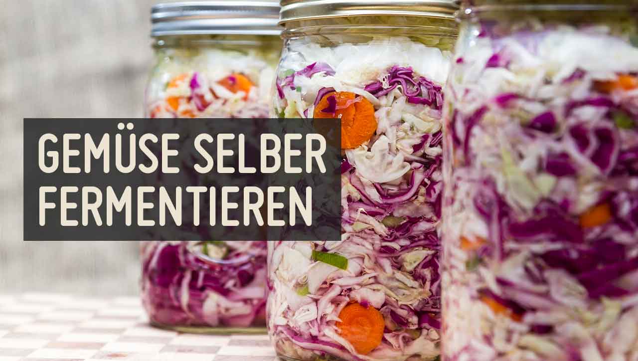 Karotten, Gürkchen oder Kraut: Was fermentierst du zuerst?