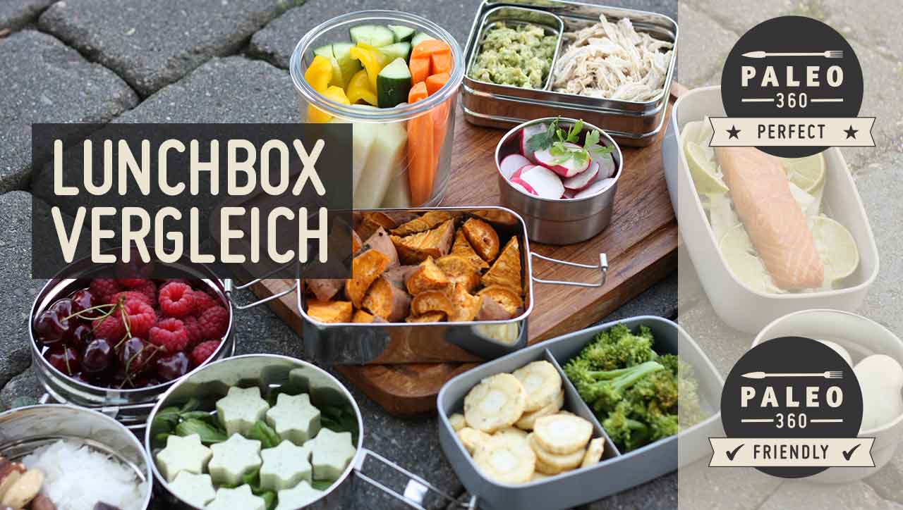 Der große Lunchbox Vergleich