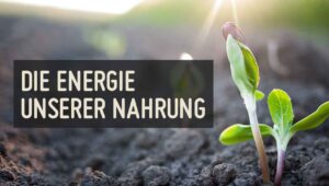 Die Energie unserer Nahrung