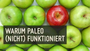 paleo funktioniert