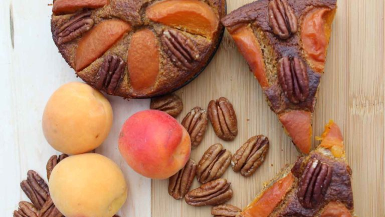 Aprikosen Nusskuchen – Paleo360.de