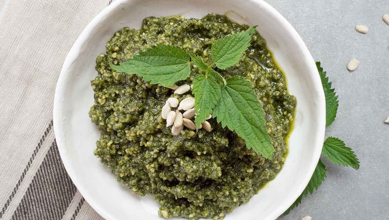 Von wegen Unkraut: Brennessel Pesto beweist wie lecker die gesunde Brennessel ist