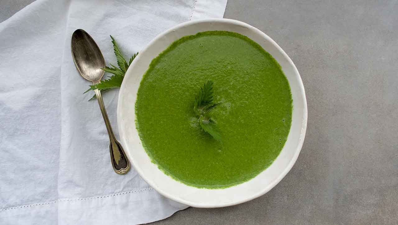 Brennnesselsuppe ist das wahre Superfood!