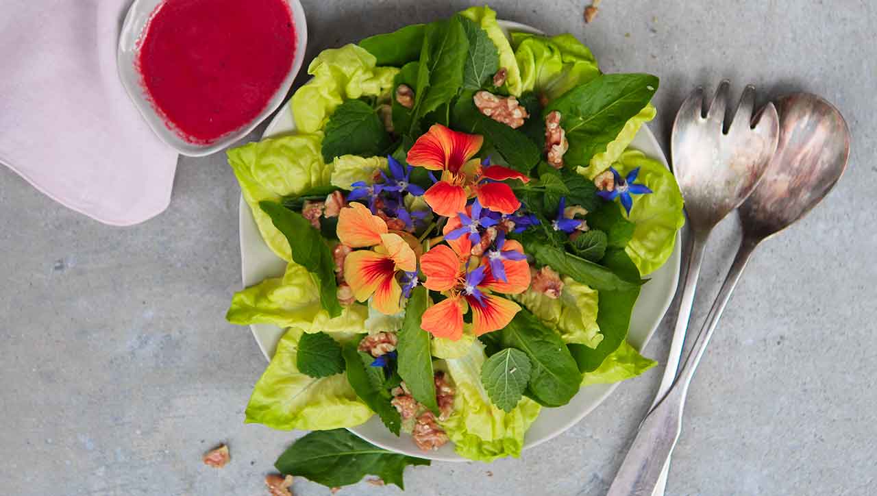 Wie praktisch: Der Löwenzahnsalat wächst praktisch vor dem Haus