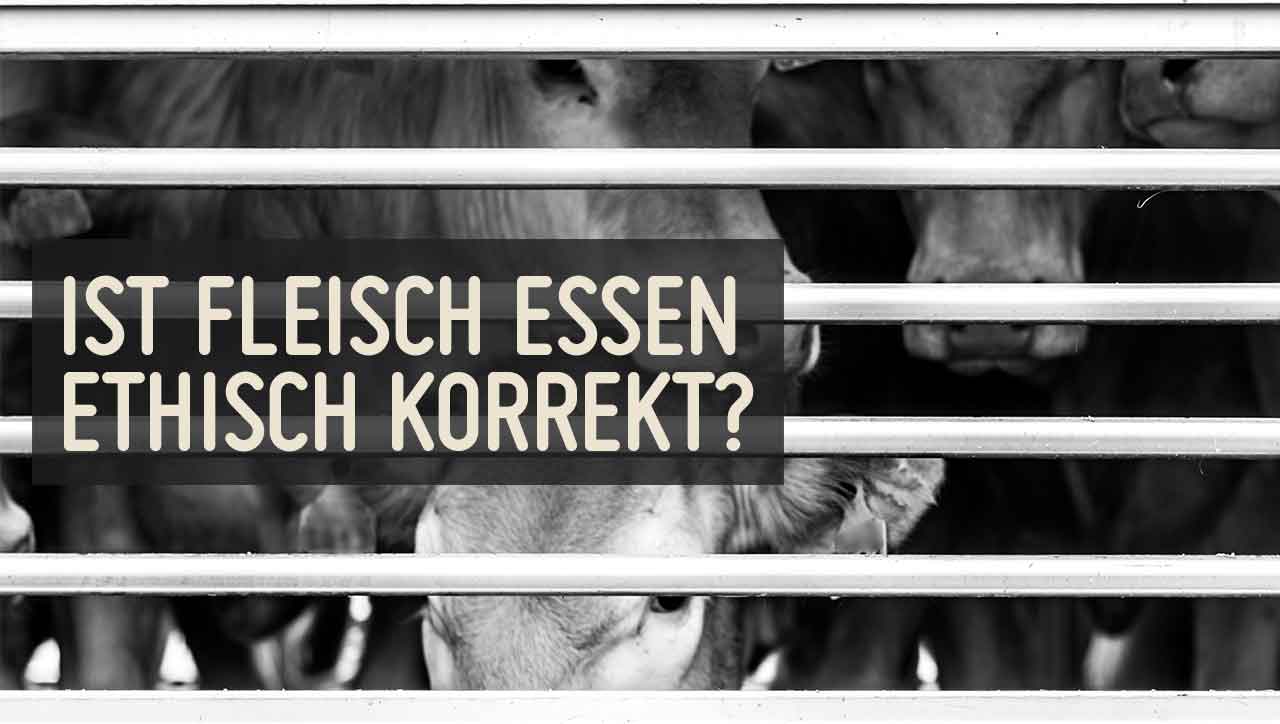 Fleisch essen, Vegetarier sein oder Veganismus - was ist die beste Ernährung für den Planeten?