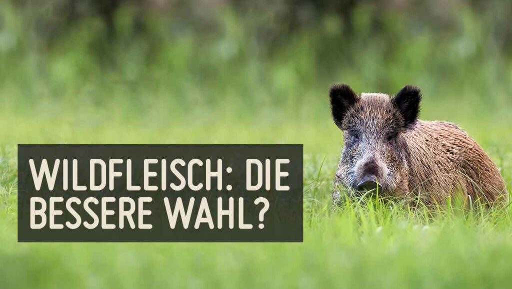 wildfleisch